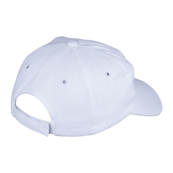 6 Panel Carbon Cap