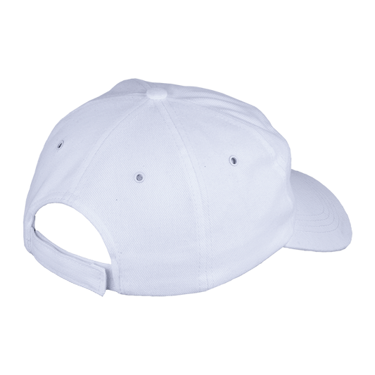 6 Panel Carbon Cap