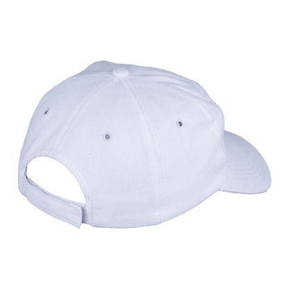 6 Panel Carbon Cap