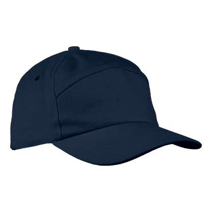 6 Panel Carbon Cap